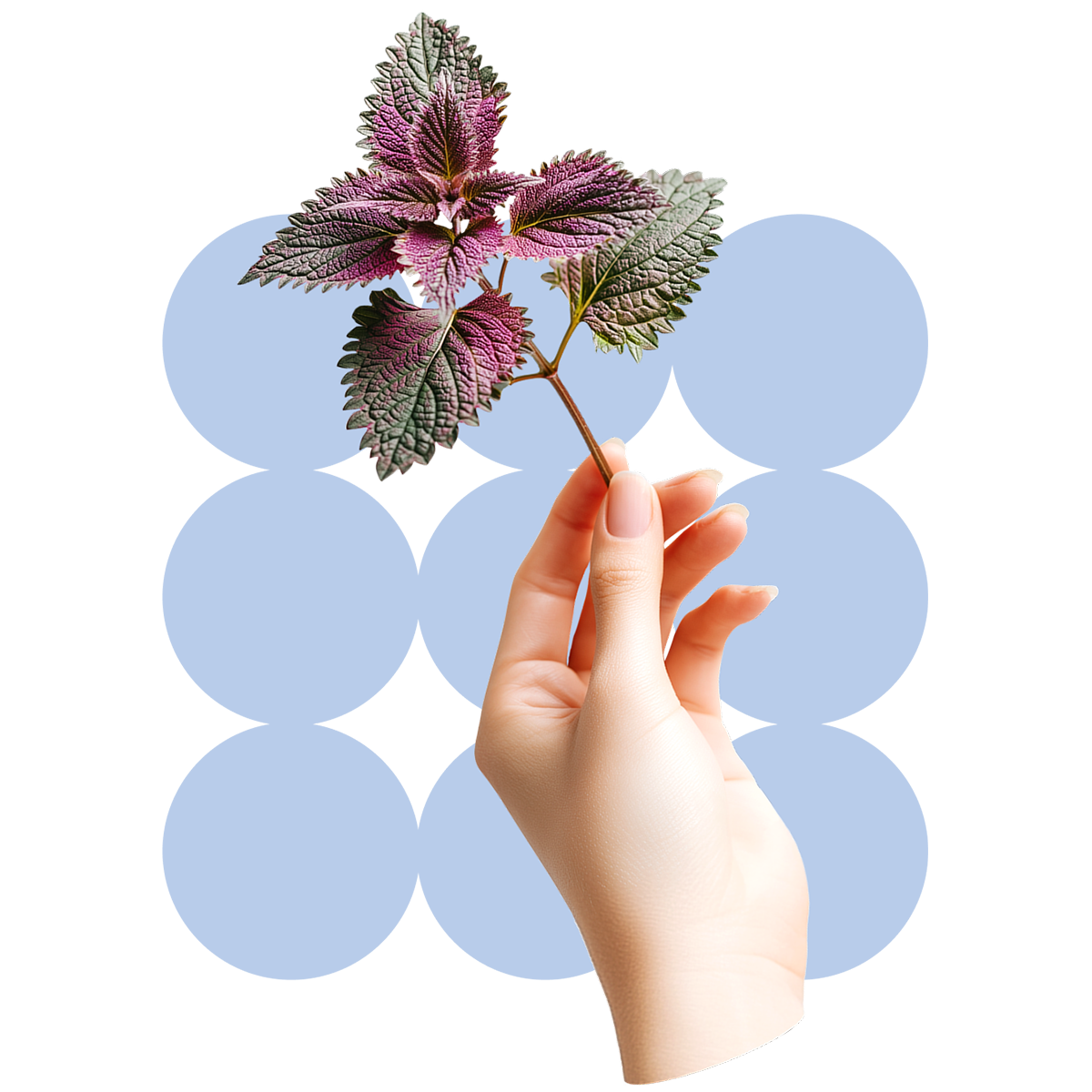 Отложенное материнство